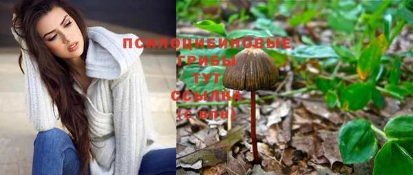 гидропоника Алексин