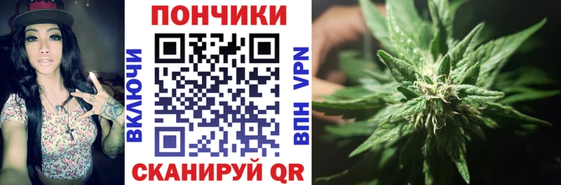 Каннабис OG Kush Кудрово