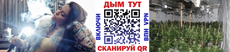 Марихуана конопля  Кудрово 
